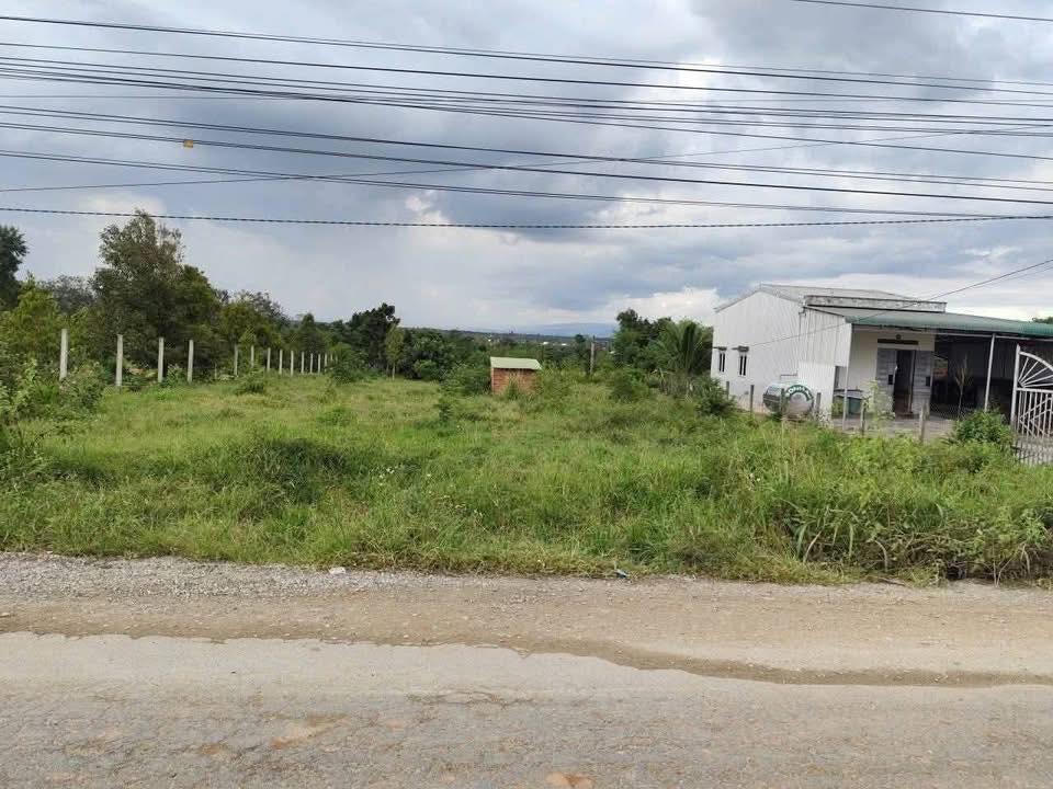 Đất nền Thôn 8 Cư Ni, Ea Kar 1000m² - Sổ đỏ chính chủ, pháp lý minh bạch!