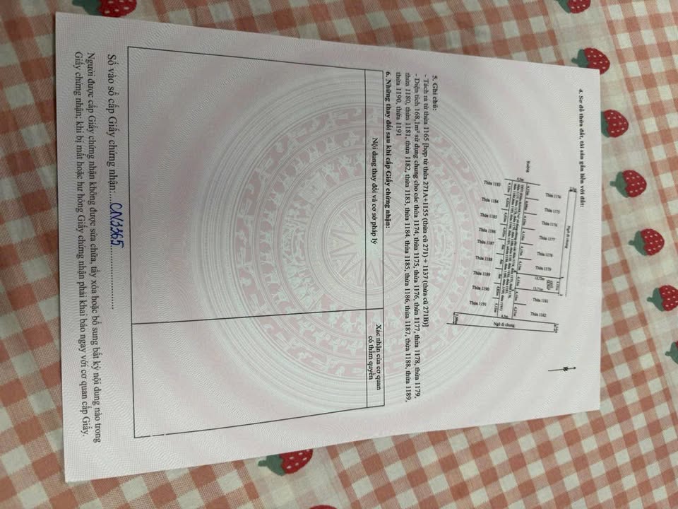 Đất nền Hải An 57m² giá 2.33 tỷ - Sổ đỏ chính chủ, 2 mặt ngõ!