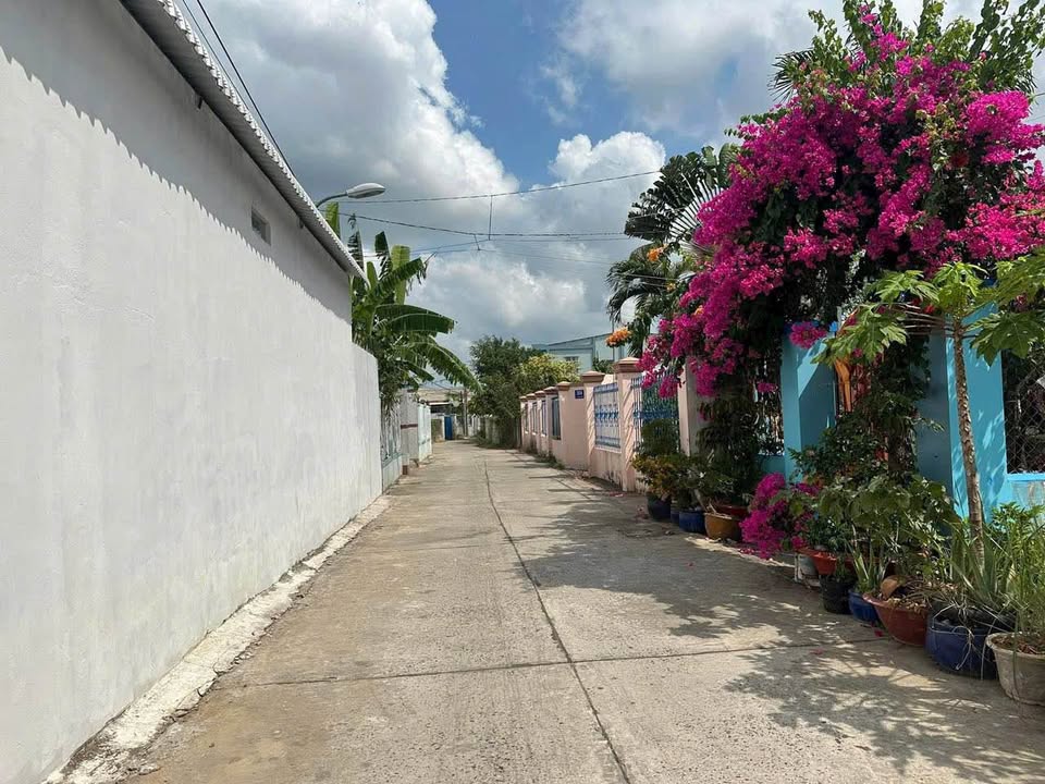 Đất nền Trà Vinh 520m² - Sổ đỏ chính chủ, giá đầu tư!