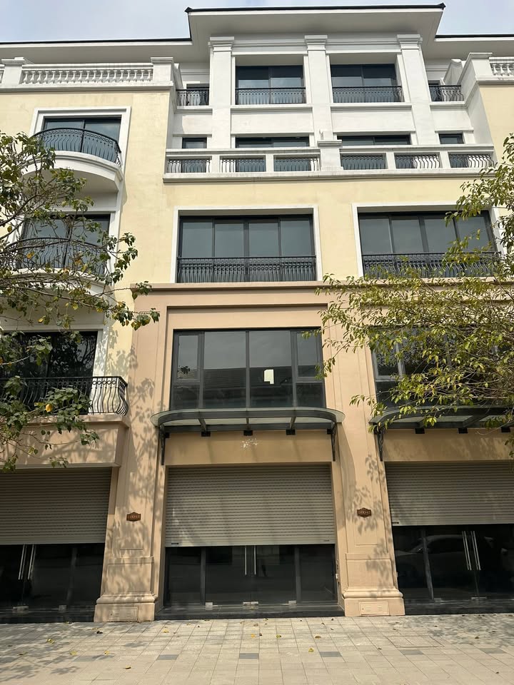 Shophouse Mặt Tiền Đường Đại Dương - Vinhomes Ocean Park 2 - 80m²