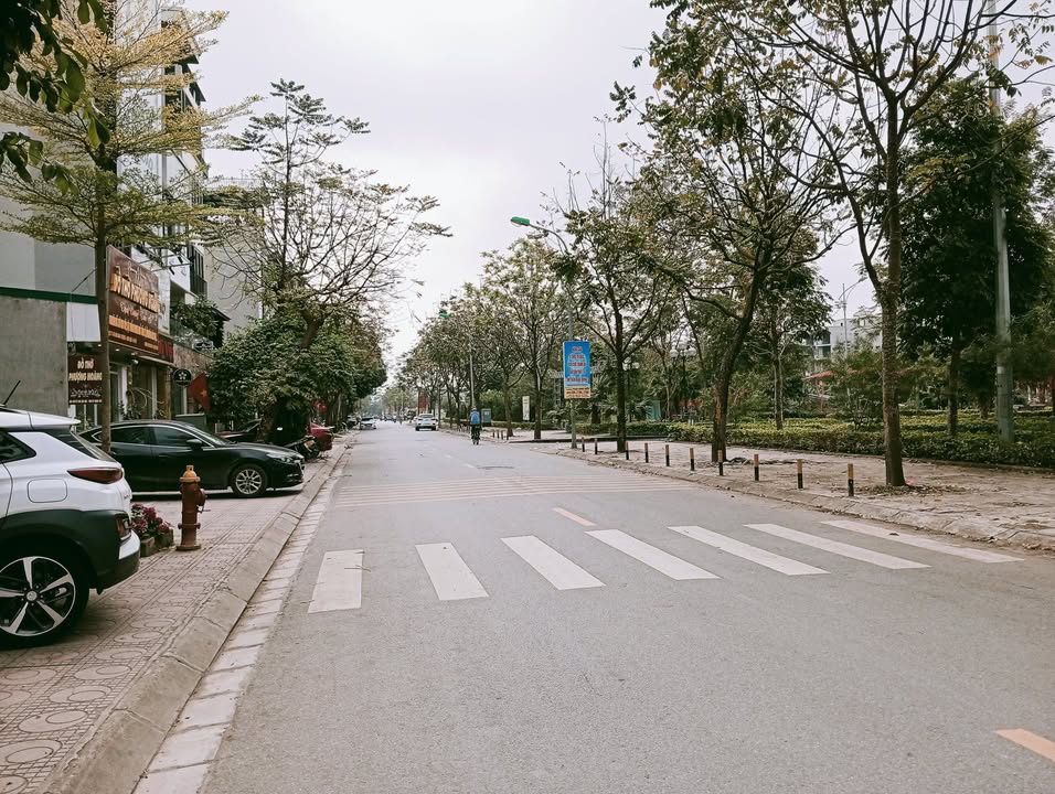 Đất nền Việt Hưng Long Biên 85m² 20 tỷ - Đường to ô tô, kinh doanh đỉnh!