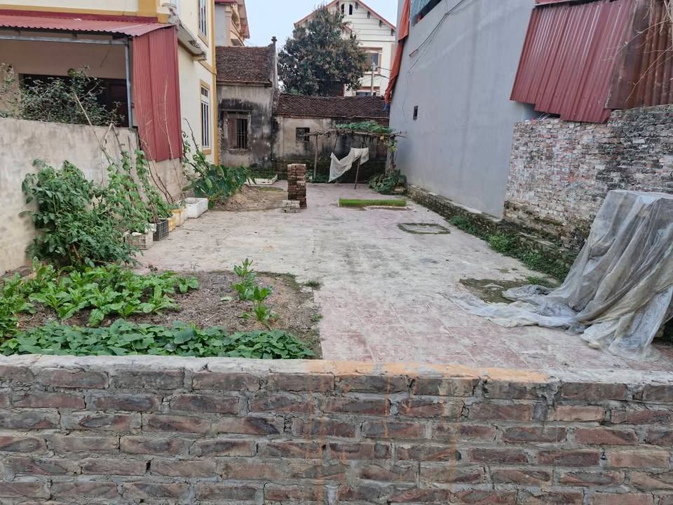 Bán Đất Sóc Sơn 121m² Full Thổ Cư - Giá Tốt 1 Tỷ