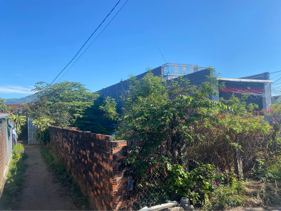 Bán Đất Thổ Cư 248m² Huyện Vạn Ninh - Sổ Hồng Sẵn Sàng