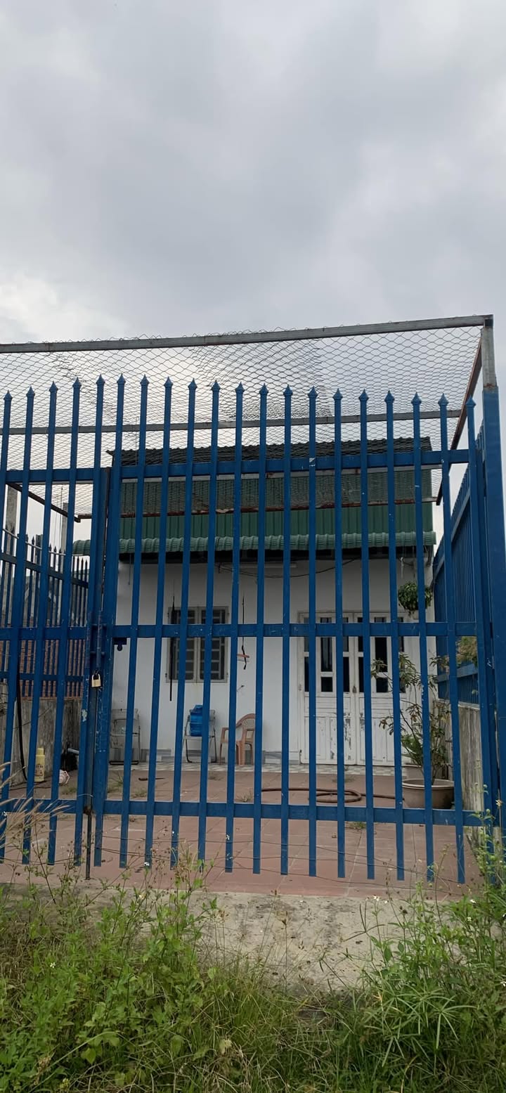 Nhà nguyên căn KDC Tân Đức Long An 4 triệu - Sẵn sàng ở ngay!