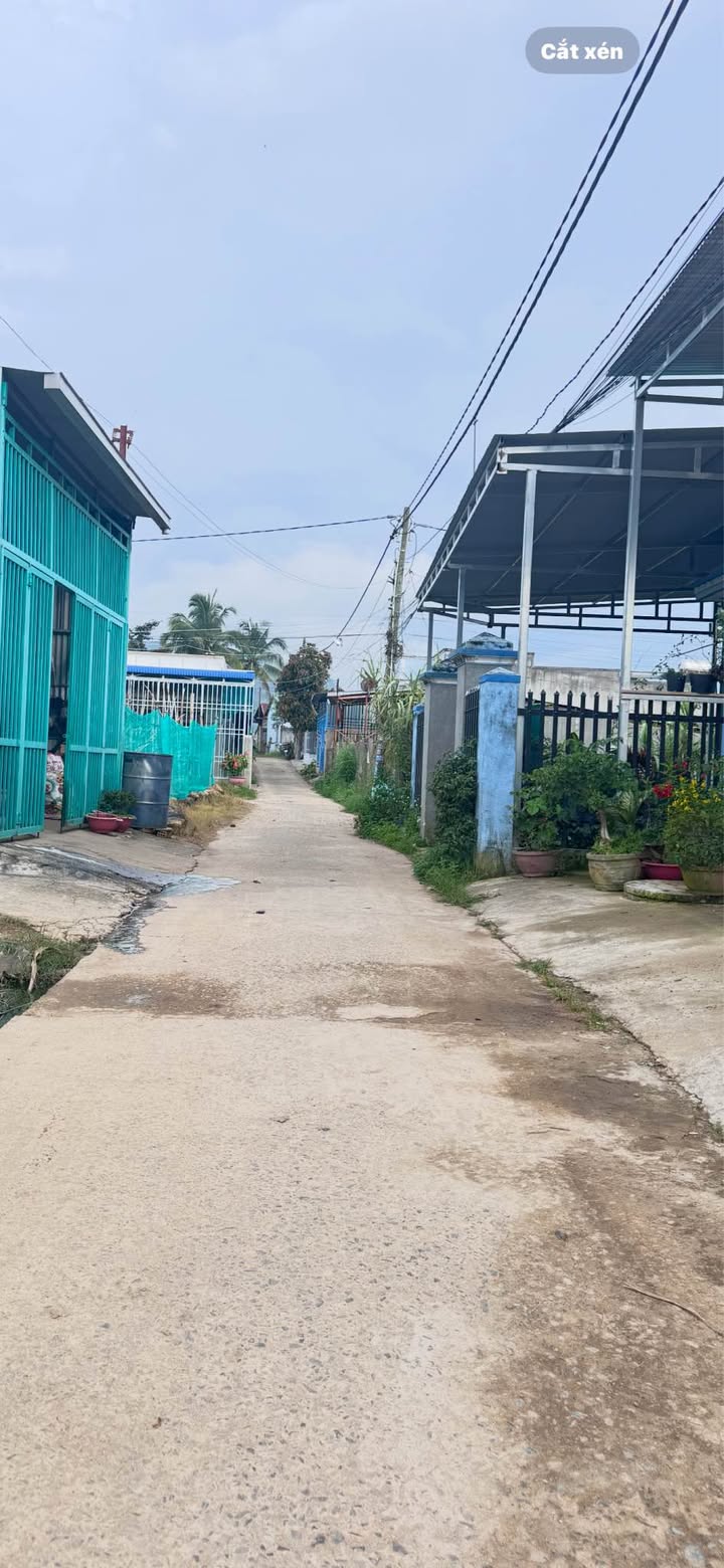 Đất nền Phú Hội Đức Trọng 115m² - Sổ đỏ thổ cư, giá 1.1 tỷ