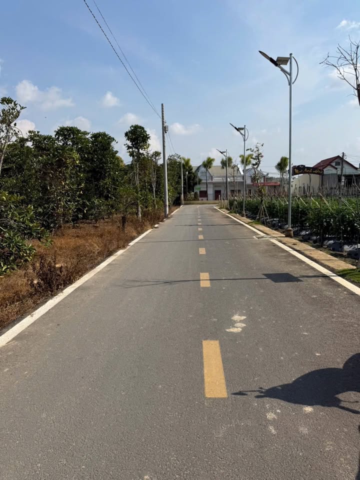 Đất Nền Phú Hội, Đức Trọng 100m² - Sổ Đỏ Sẵn Sàng