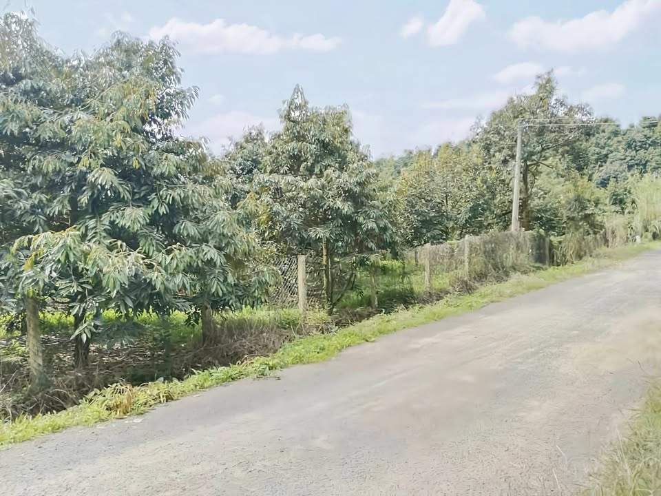 Đất nền Tân Lạc Bảo Lâm 1829m² - Đất thổ cư 100%!