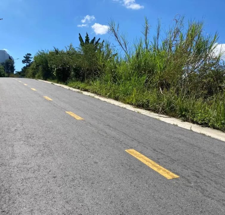 Đất nền Đồi Huy Hoàng Đà Lạt 652m² - Tiềm năng tăng giá!