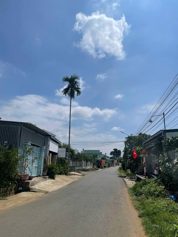 Đất nền Phường 2 Bảo Lộc 160m² - Tiềm năng tăng giá vượt trội!