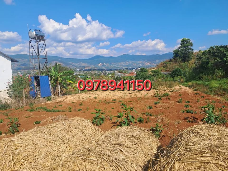 Đất nền Nam Ban, Lâm Hà 600m² giá 1.3 tỷ - Tiềm năng tăng giá!