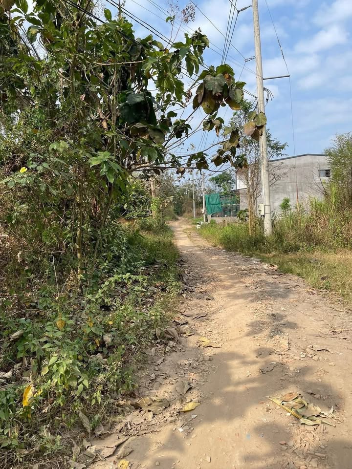 Đất nền Phú Tân Định Quán 200m² 1.55 tỷ - Sổ hồng chính chủ