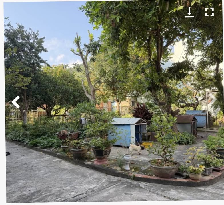 Đất nền Sơn Trà, Trần Quang Khải 1234m² - Đầu tư sinh lời vượt trội!