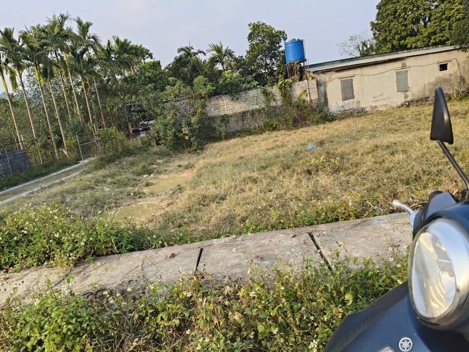 Đất Vàng Gia Lâm Nho Quan 100m² - Lô Góc 2 Mặt Tiền, Giá 7xx Triệu