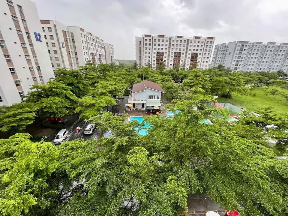 Căn hộ Ehome3 Quận 7 50m² giá 5.5 triệu - View công viên đẹp!