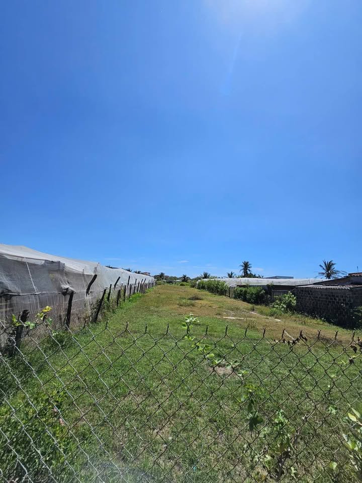 Đất Vườn Ninh Chử - 818m² - Sẵn Sàng Xây Nhà Nghỉ Dưỡng