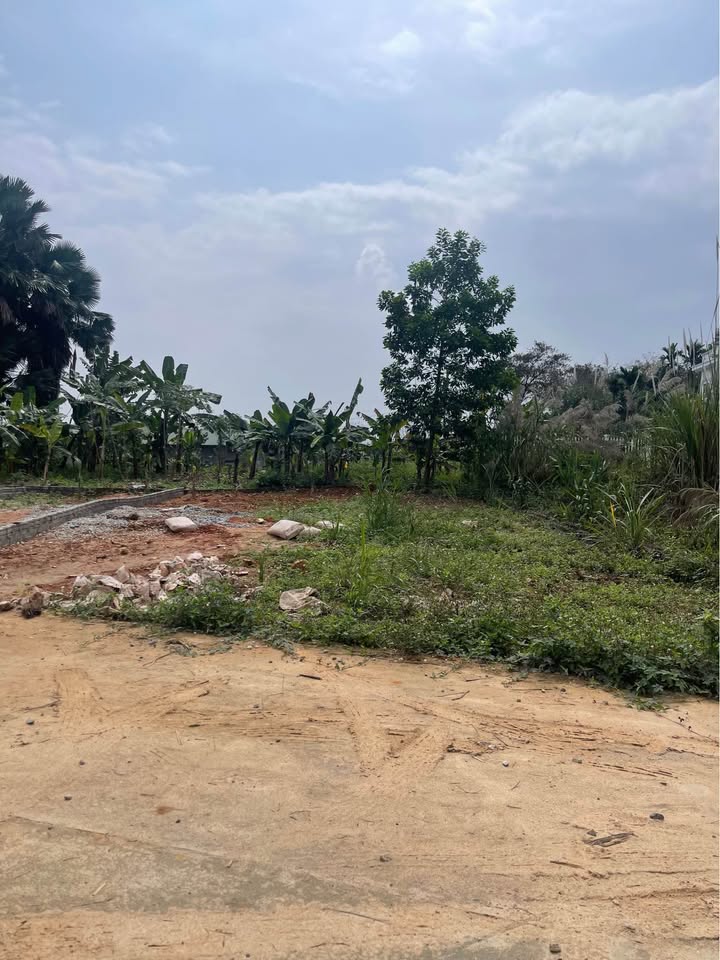 Đất nền Phường Ỷ La Tuyên Quang 220m² - Đất thổ cư 100%