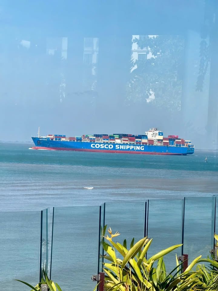 Đất nền Thành phố Vũng Tàu 79m² Sổ đỏ chính chủ