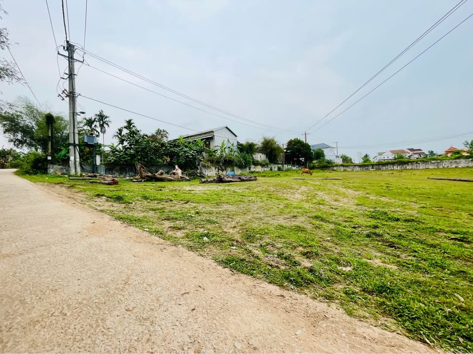 Đất 2000m² Kiệt DẠ LÊ, TP Huế - Giá Ngân Hàng 4.8 Tỷ, Sổ Đỏ