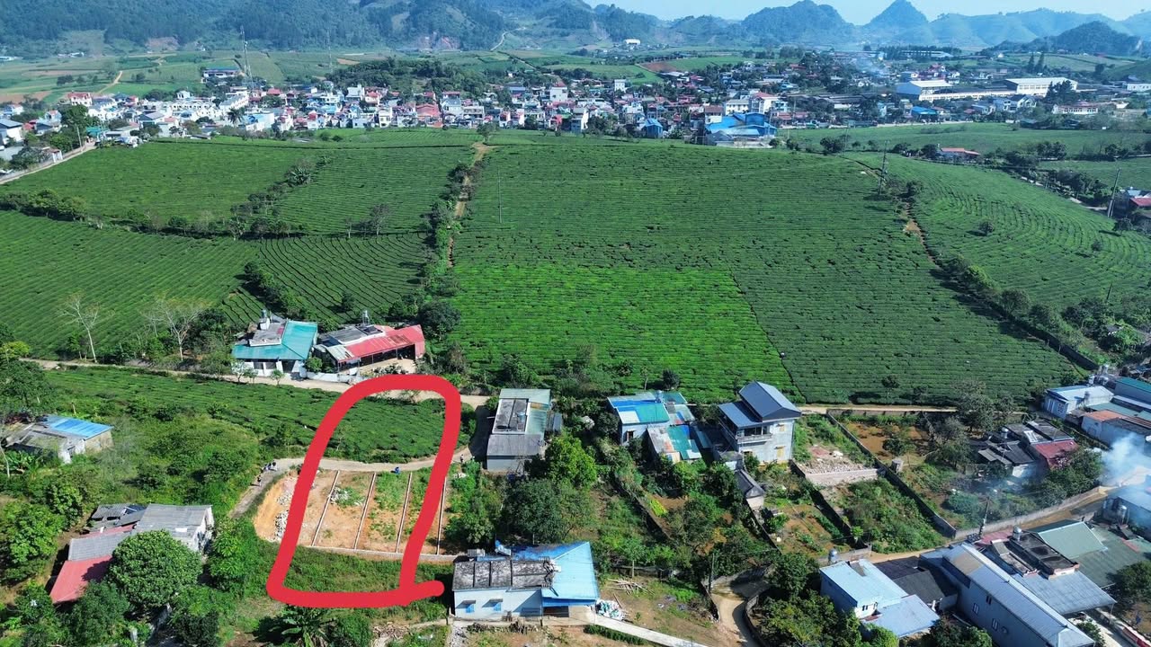 2 Lô Đất Nền Mộc Châu 200m² Chỉ 1.599 Tỷ - Đất Thổ Cư 100%
