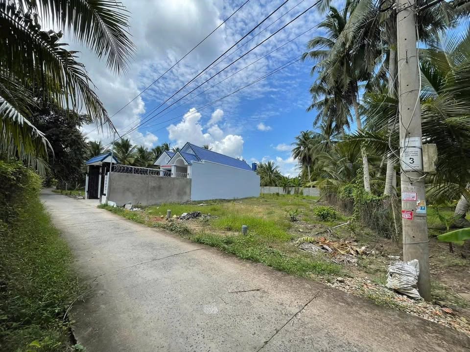 Đất nền Bình Trưng 440m² - Sổ hồng sẵn, ô tô vào tận nơi!