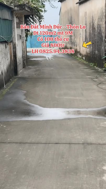 Đất nền Thôn Lu, Tứ Kỳ 120m² - Sổ đỏ sẵn, giá chỉ 800 triệu