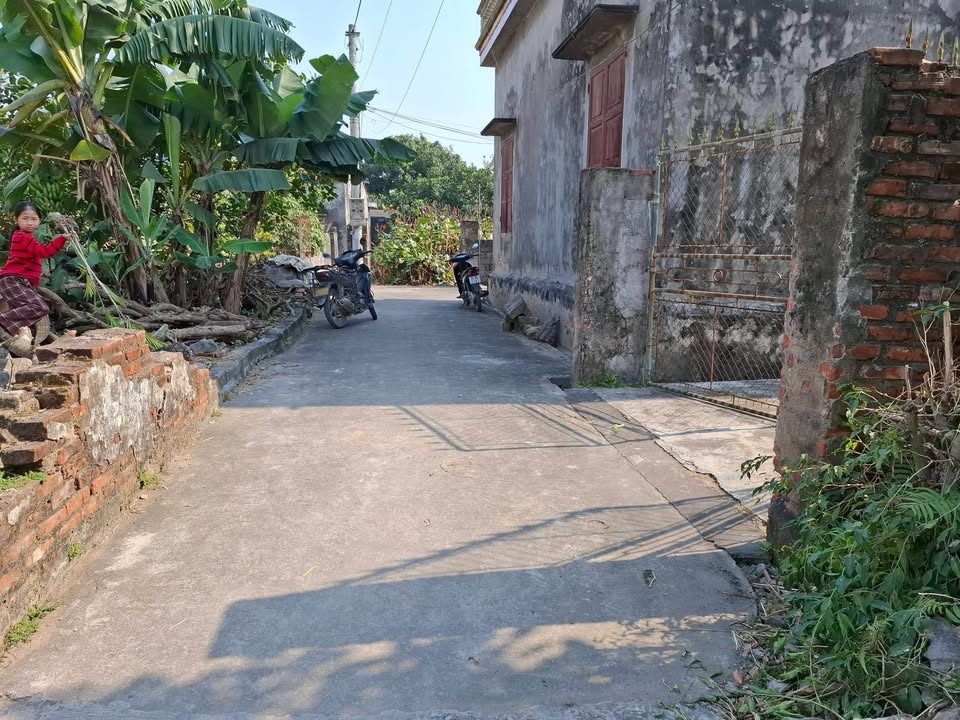 Đất nền Xã Hải Hưng, An Dương 90m² - Tiềm năng tăng giá vượt trội!