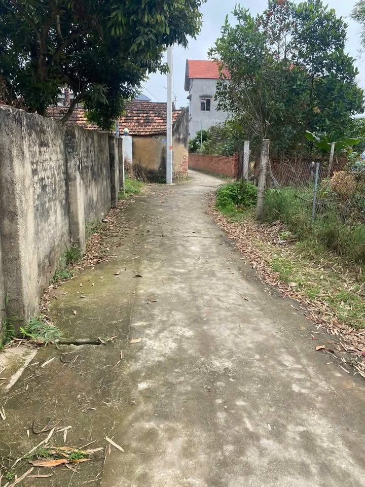 Đất Vĩnh Phúc 273m² - Sổ Đỏ Rõ Ràng, Giá Đầu Tư Hấp Dẫn