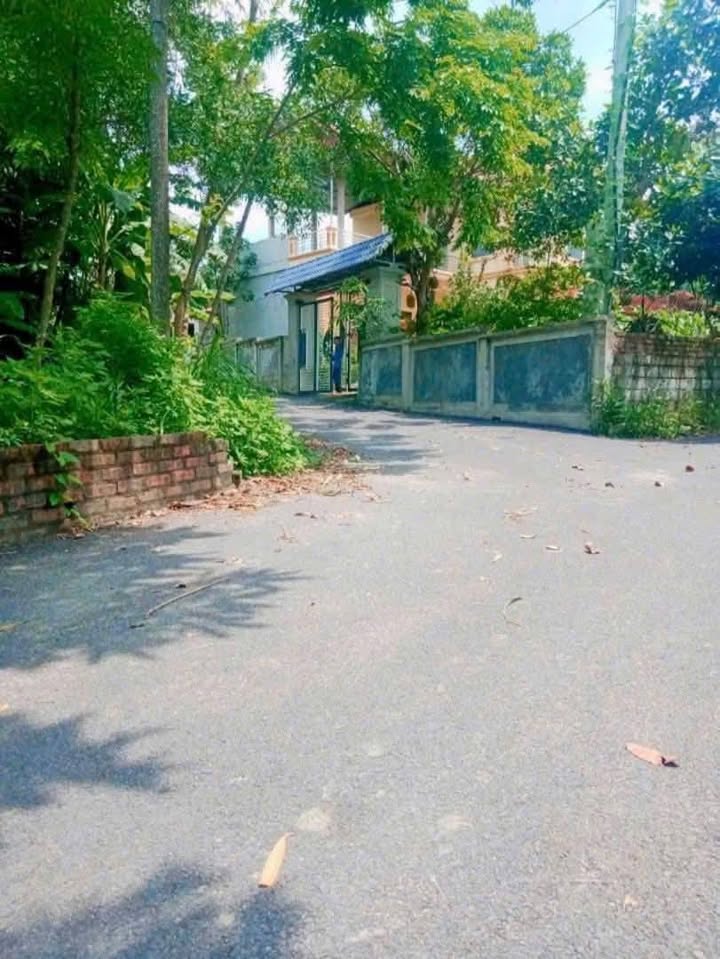 Đất nền Lập Thạch, Vĩnh Phúc 161m² - Đất thổ cư 100%, ô tô vào tận nơi!