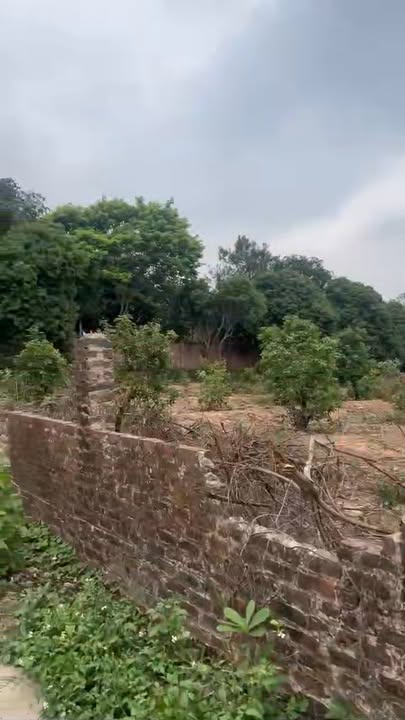 Đất Vườn Ngọc Thanh, Phúc Yên 2532m² - Tiềm Năng Sinh Lời Vượt Trội