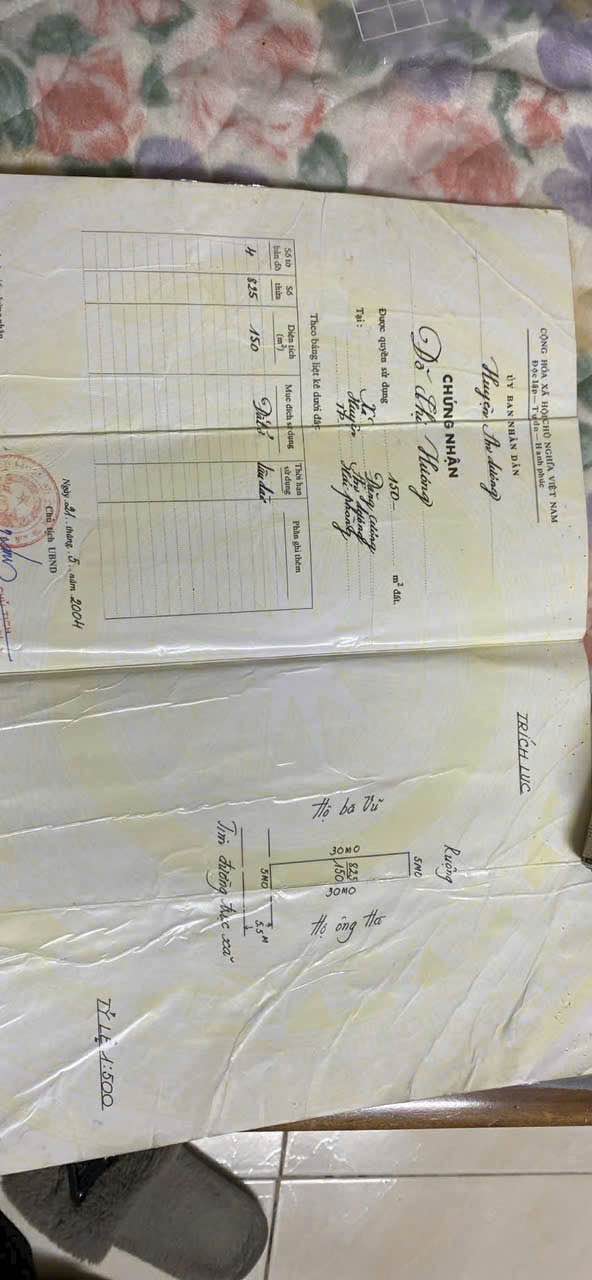 Đất nền An Dương 150m² - Kinh doanh đắc địa, tặng nhà cấp 4!