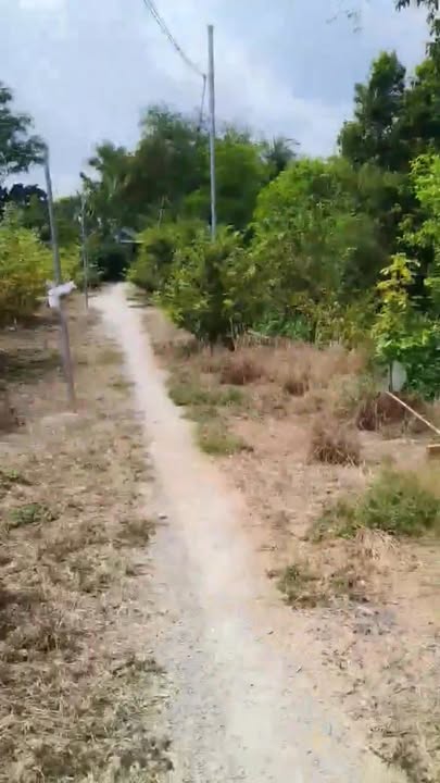 Đất nền Xã Hội An, Chợ Mới 120m² - Sổ đỏ chính chủ, tiềm năng tăng giá!