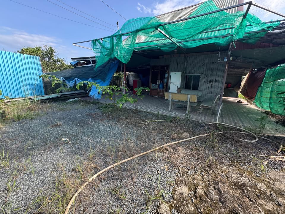 Nhà Vườn Bình Lợi, Vĩnh Cửu - 500m² Sổ Riêng, Đường Ôtô 22m - Giá 1.6 Tỷ