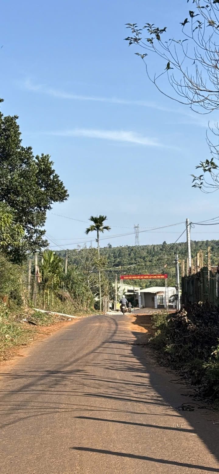 Đất nền Krông Búk 500m² - Sổ đỏ chính chủ, giá chỉ 1.699 tỷ!