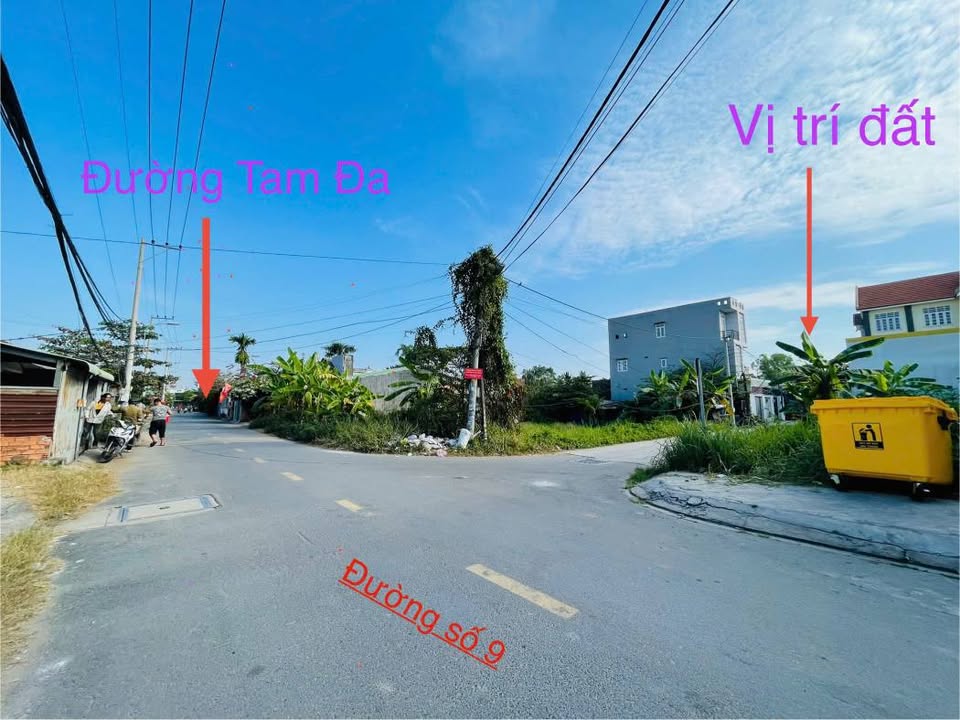 Đất nền Tam Đa 165m² Ba Vì - Pháp lý rõ ràng, xây ở ngay!