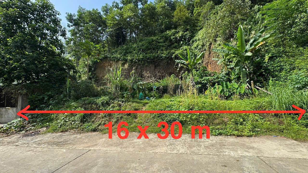 Đất nền Ngõ Ban Dân Tộc TP Yên Bái 480m² - Tiềm năng tăng giá vượt trội!