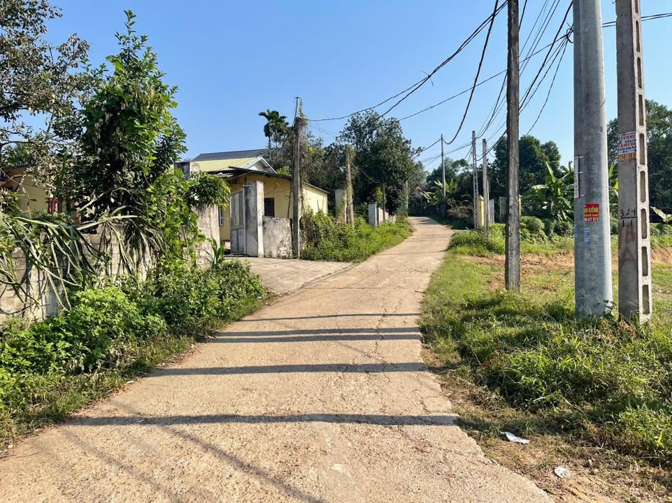 Đất nền 367m² Phú Lộc, Phú Thọ - Sổ đỏ 100m² đất ở, giá chỉ 6xx triệu