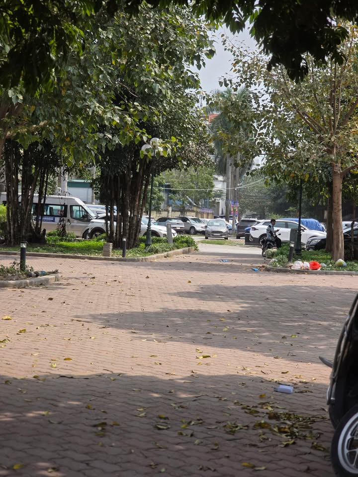 Đất Phân Lô Tam Trinh 58m² - Vỉa Hè Oto Tránh, Kinh Doanh Đỉnh Cao