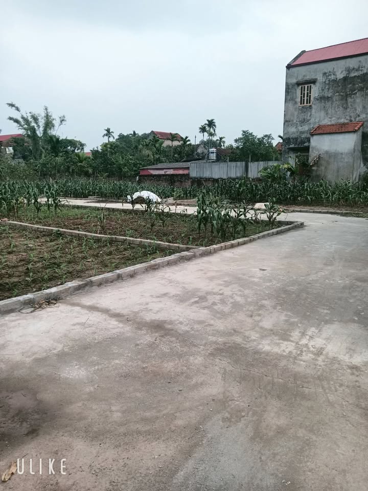 Đất nền Tri Thủy Phú Xuyên 80m² - Tiềm năng tăng giá vượt trội!