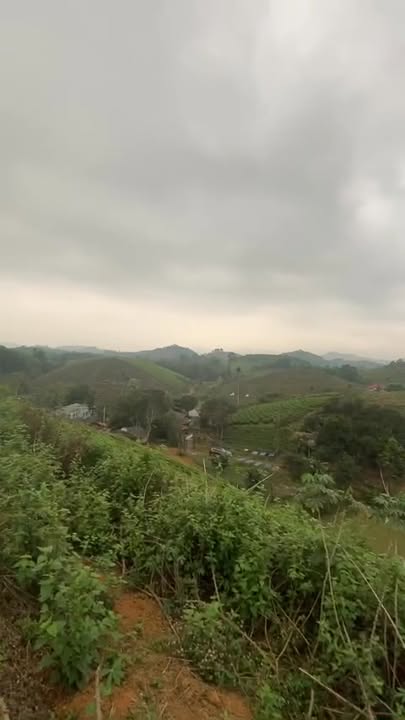 Đất vườn Văn Miếu, Thanh Sơn 3200m² - Nghỉ dưỡng lý tưởng!