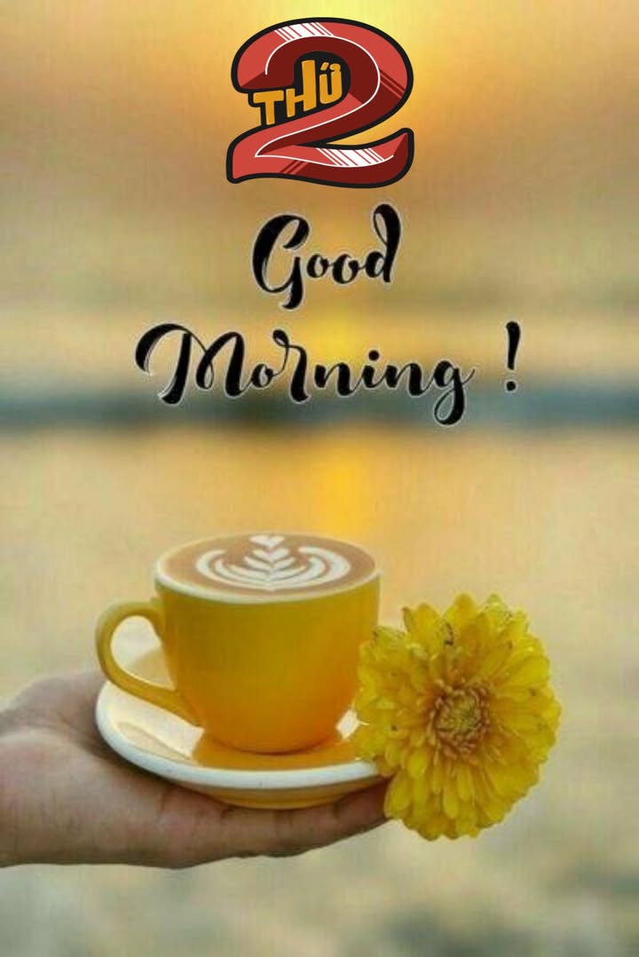 Đất nền Đường Phạm Như Xương, Đà Nẵng 300m² - Sổ đỏ chính chủ!