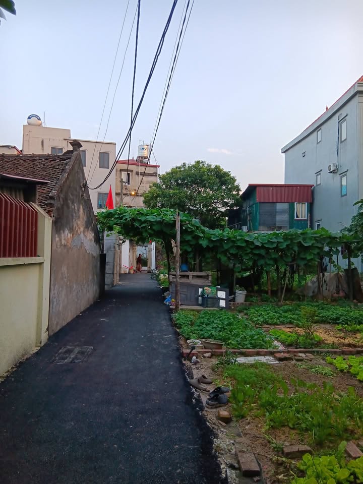 Bán đất Đông Anh 45m² - Sổ đỏ chính chủ, ô tô vào đất