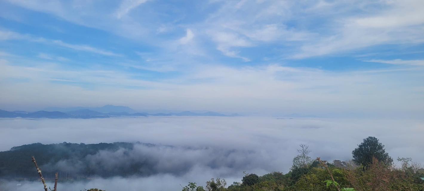 Lô Đất Cầu Đất, Đà Lạt 5000m² - Nghỉ dưỡng lý tưởng!