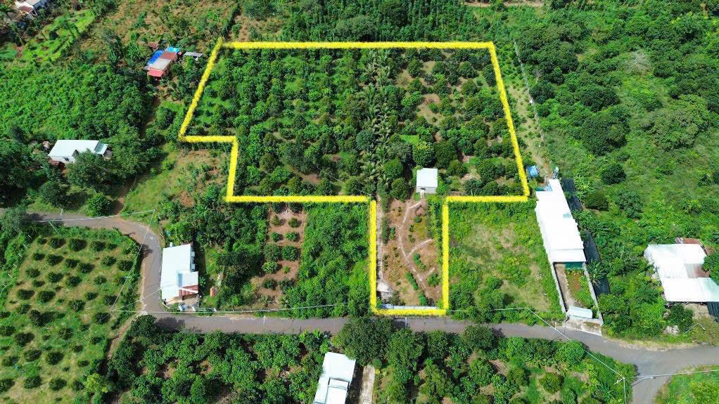 Bán Gấp Đất Vàng 8030m² Kim Long, Châu Đức - Sổ Hồng Riêng