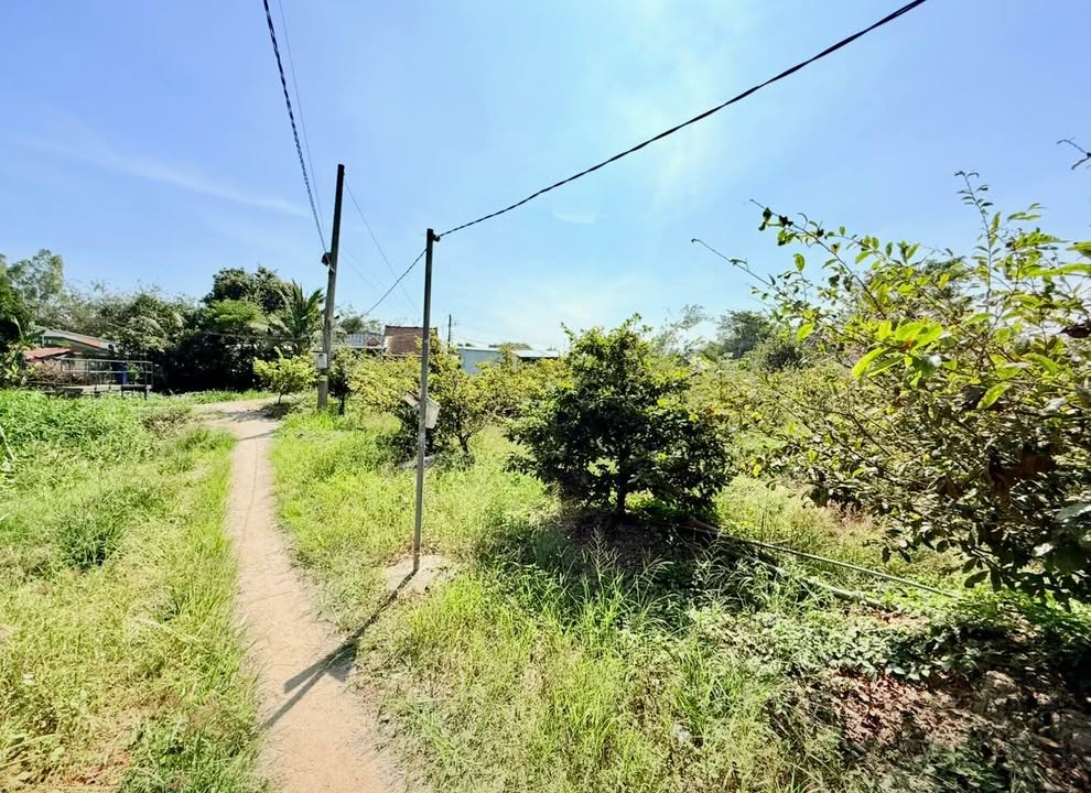 Đất nền An Hòa, Long Xuyên 100m² - Tiềm năng tăng giá vượt trội!