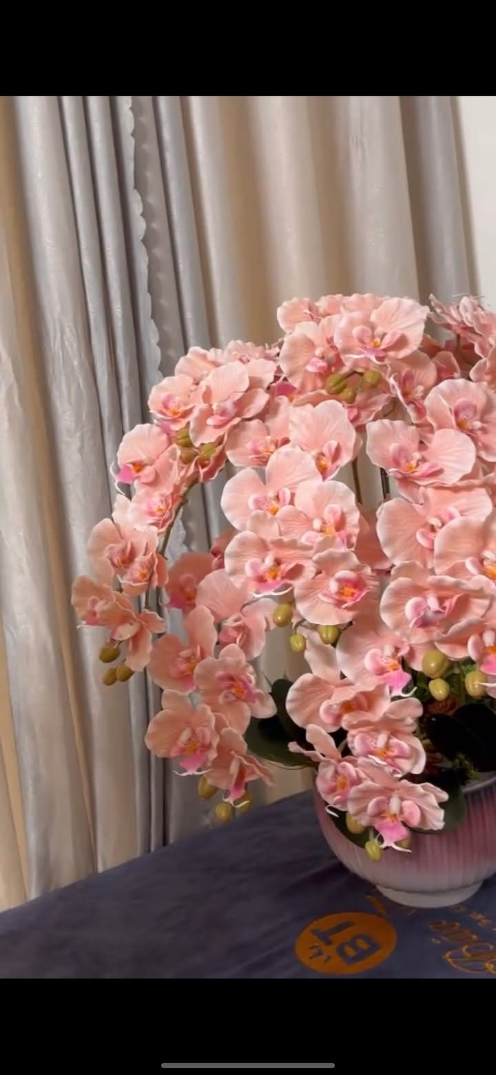 Nhà Mặt Tiền Đô Thị Mỹ Trung, Nam Định - 150m², Hướng ĐN, 9.6 Tỷ