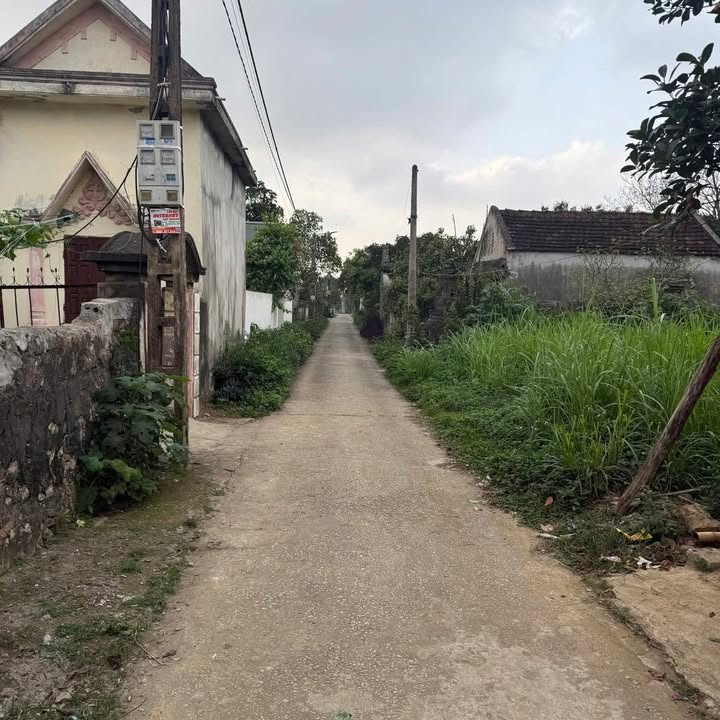 Bán Đất Thổ Cư 140m² Tam Điệp, Ninh Bình - Vị Trí Đẹp, Giá Tốt