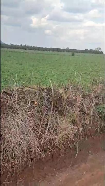 Đất Nông Nghiệp Xã Phú Hội, Đức Trọng 8172m² - Sổ đỏ chính chủ