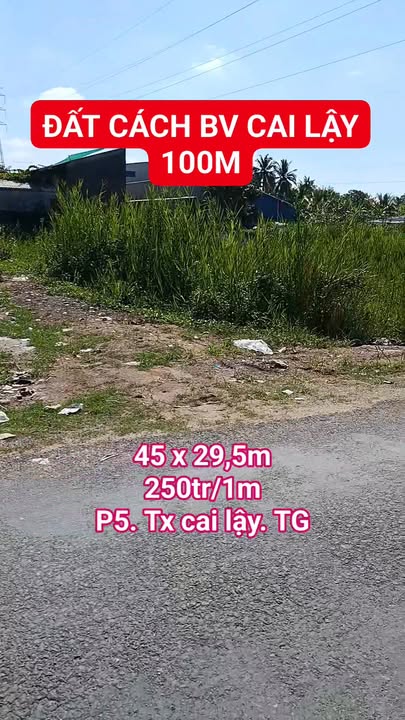 Đất Vàng Cai Lậy 1327m² - Ngay BV 100m, Đường Thông Kinh Doanh