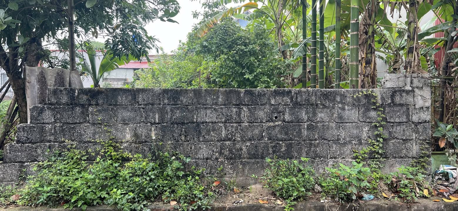 Đất nền Liên Phương 93m² - Sổ đỏ chính chủ, full thổ cư!