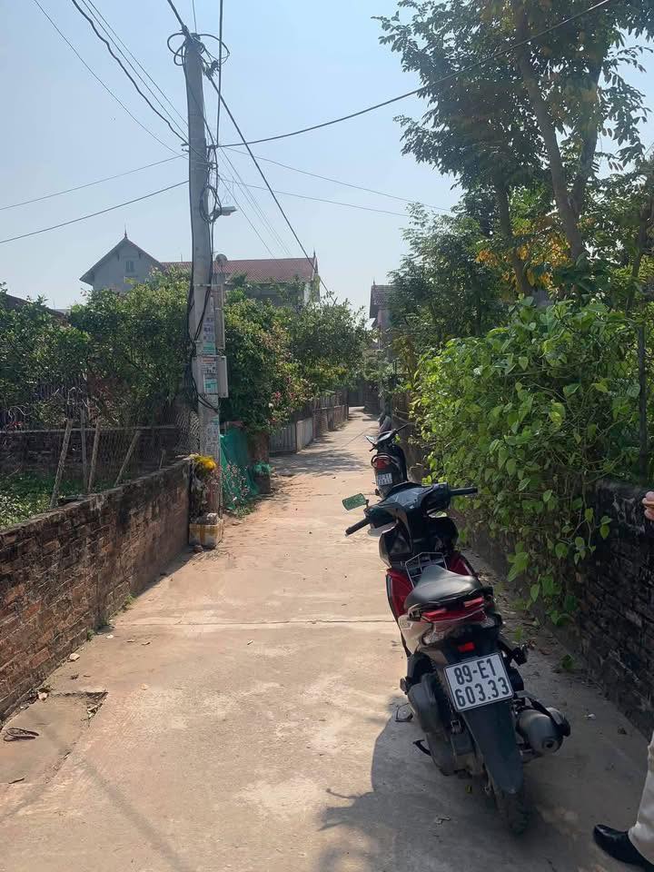 Đất nền Hoàng Trạch, Văn Giang 382m² - Sổ đỏ chính chủ